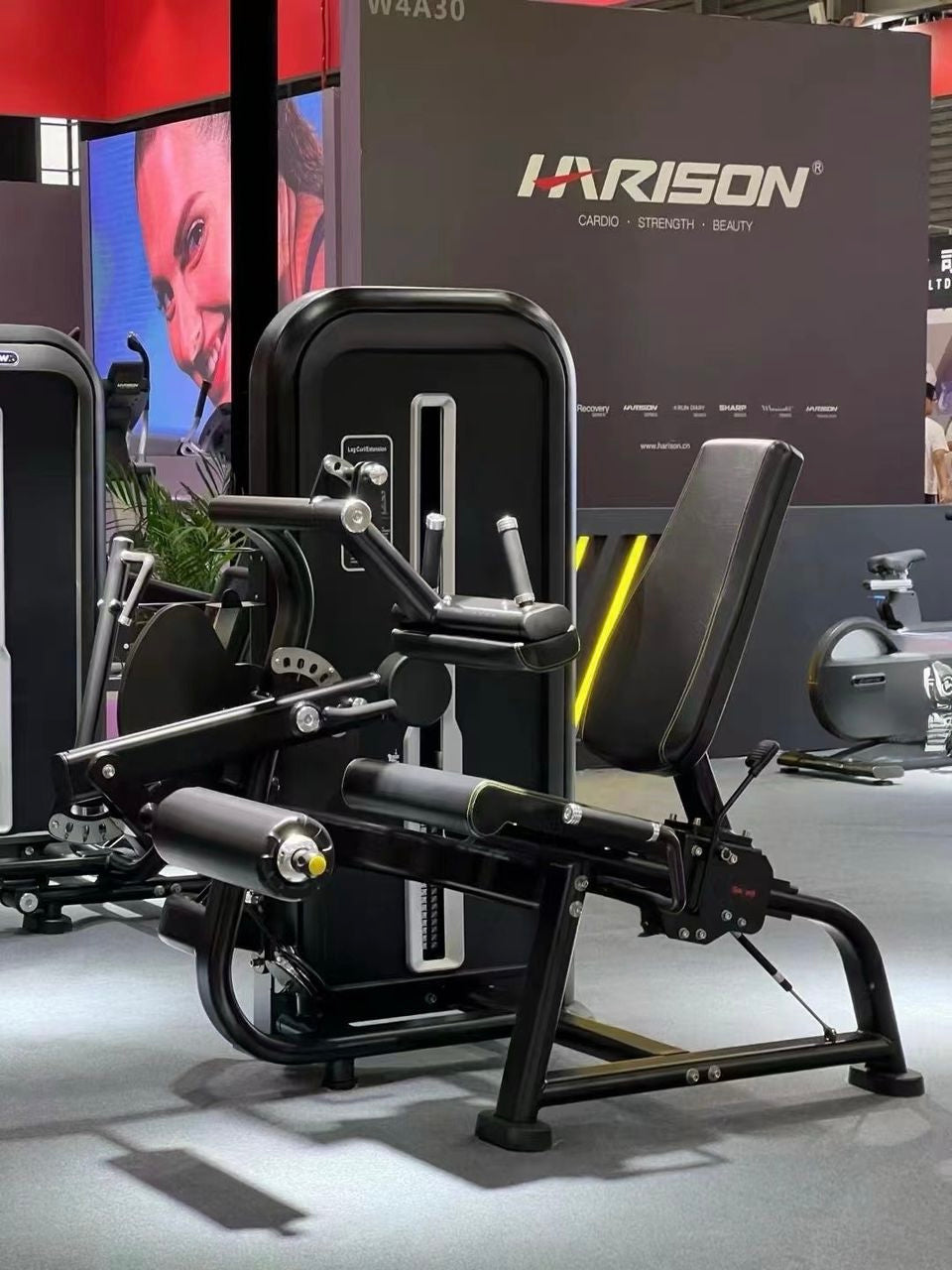 Seated Leg Extension/ Curl